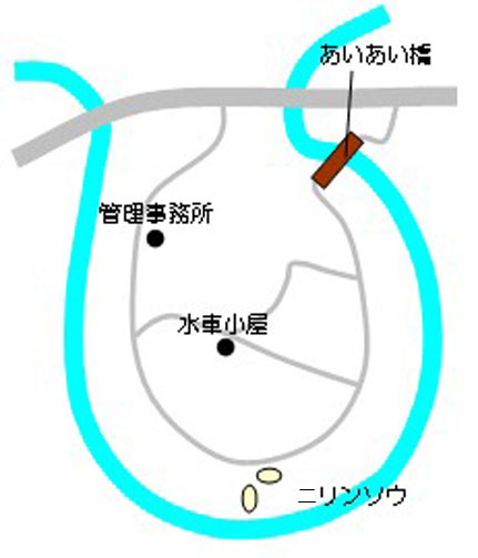 ニリンソウ開花場所の地図