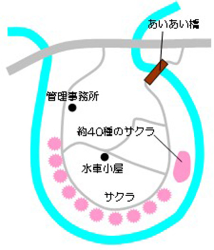 サクラの開花場所の地図