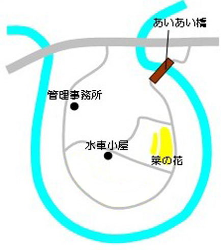 菜の花の開花場所の地図